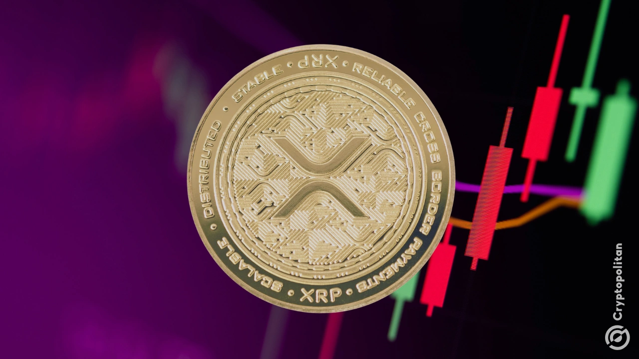 XRP上扬势惊人，一夜飙升296%，加密市场沸腾