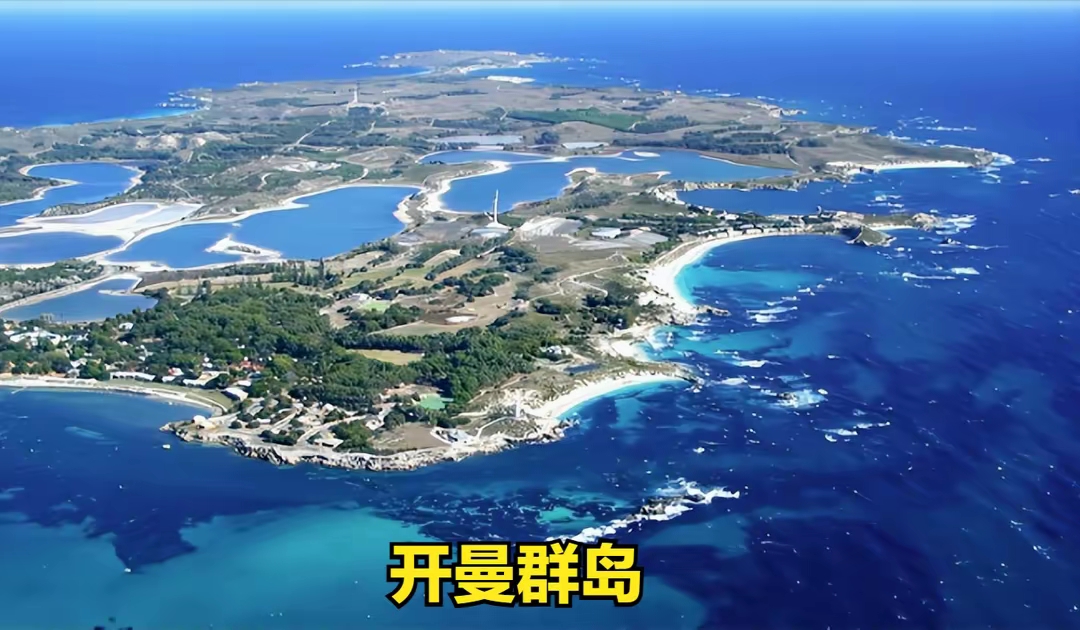 专家称Polkadot将在年底冲破390美元，引发引发关注，投资者瞩目